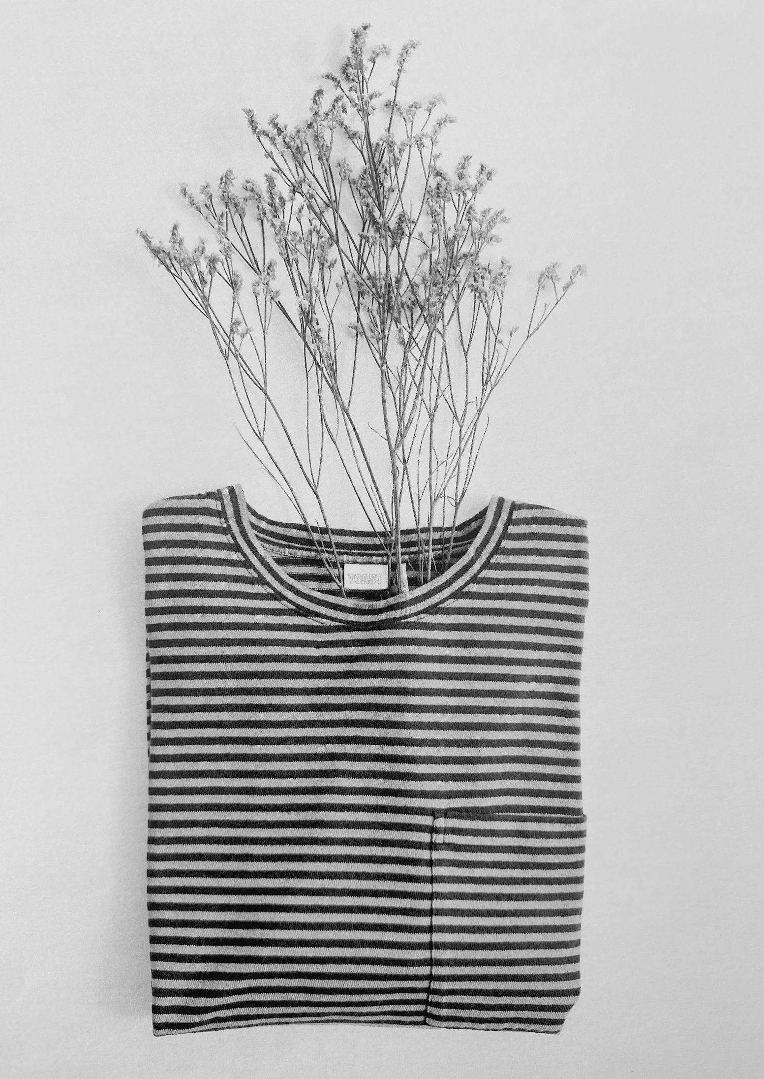 Bold Stripe Cotton Short Sleeve Tee | Azure Blue/Tawny Brown - Image 6