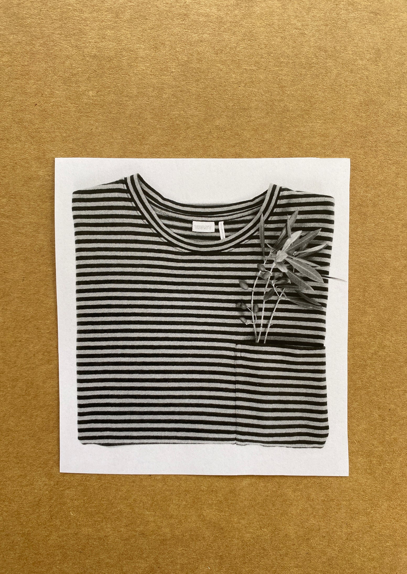 Bold Stripe Cotton Short Sleeve Tee | Azure Blue/Tawny Brown - Image 7