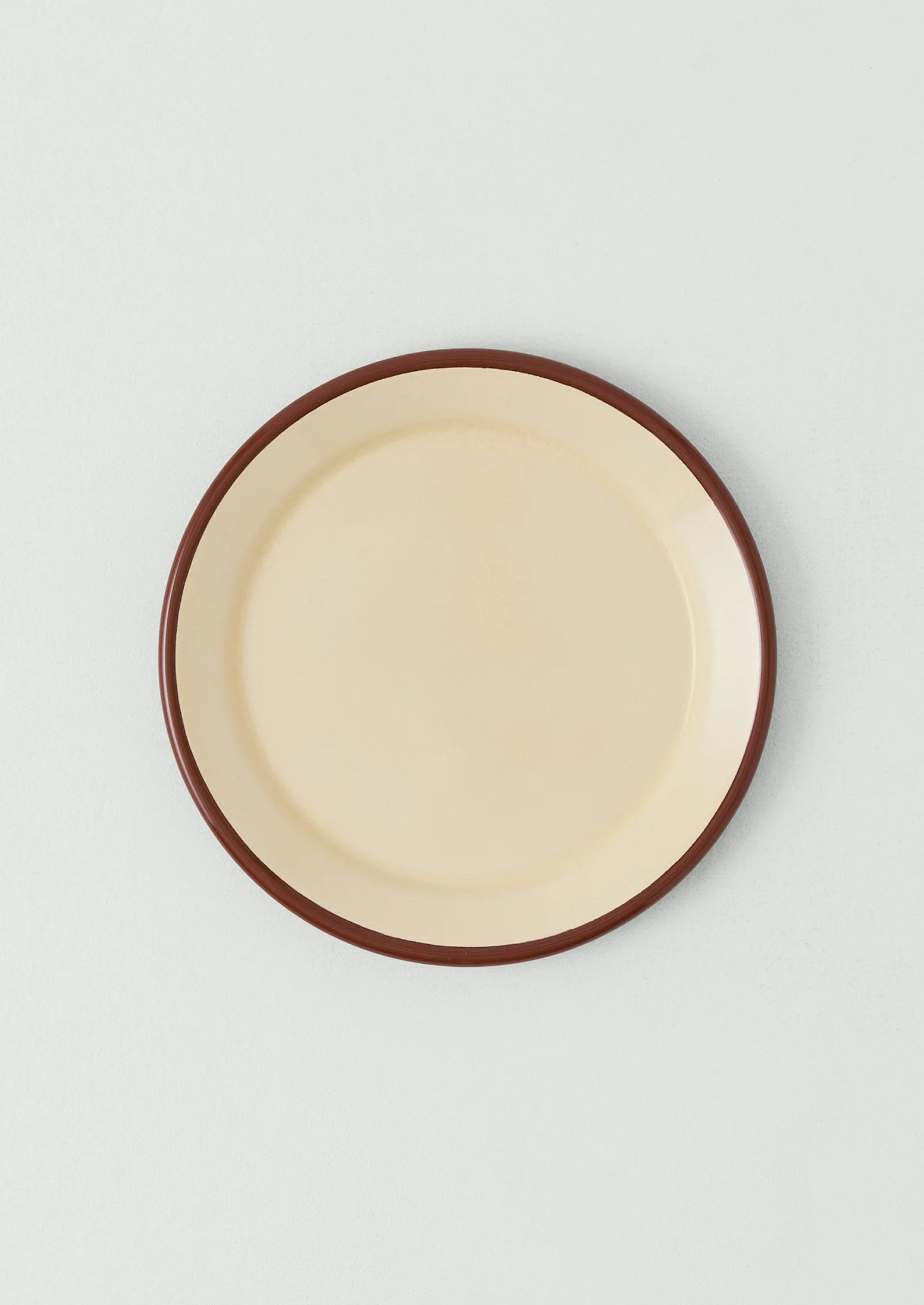 Contrast Rim Enamel Dinner Plate | Mint/Chestnut