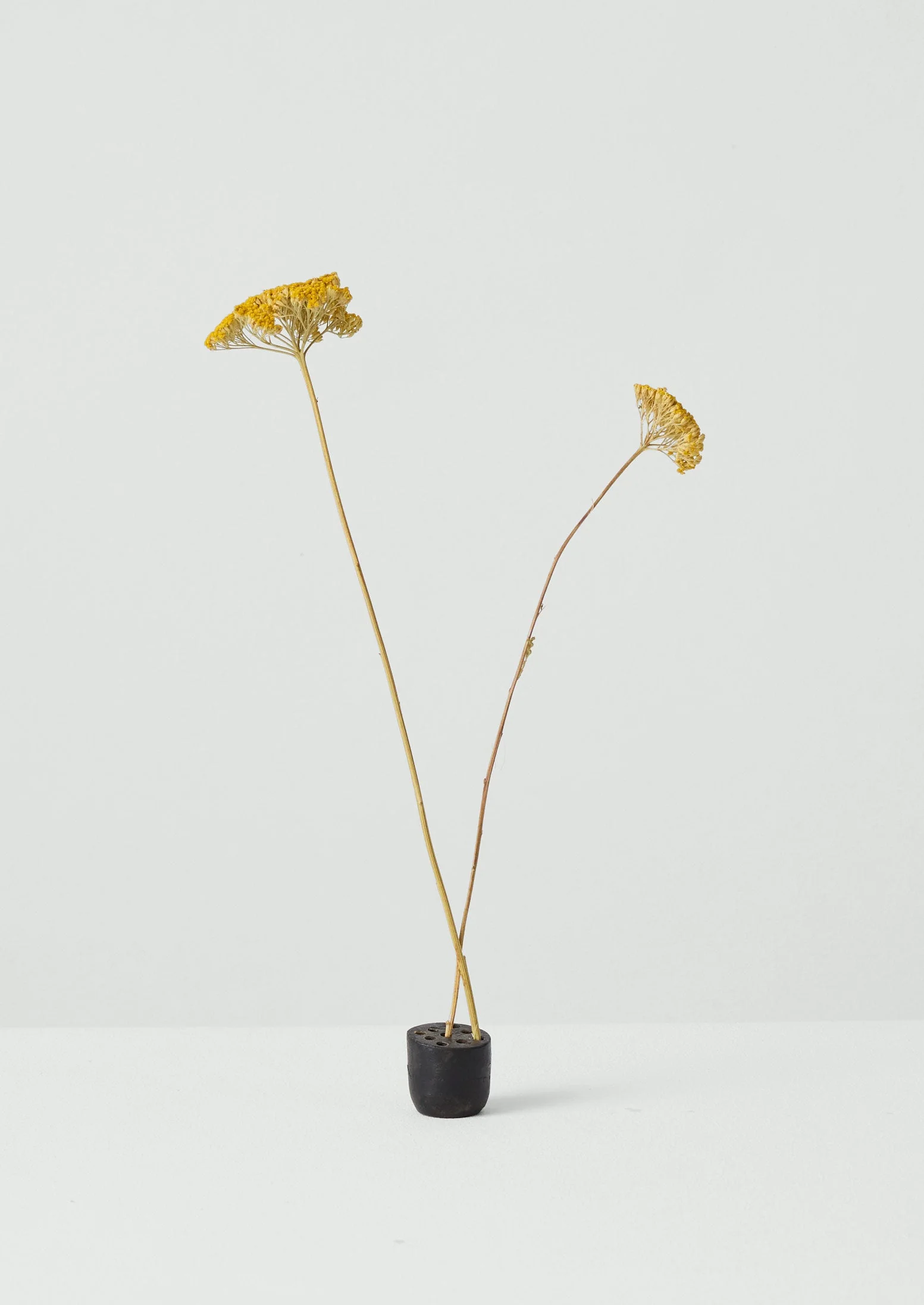 Metal Flower Frog | Iron - Image 3