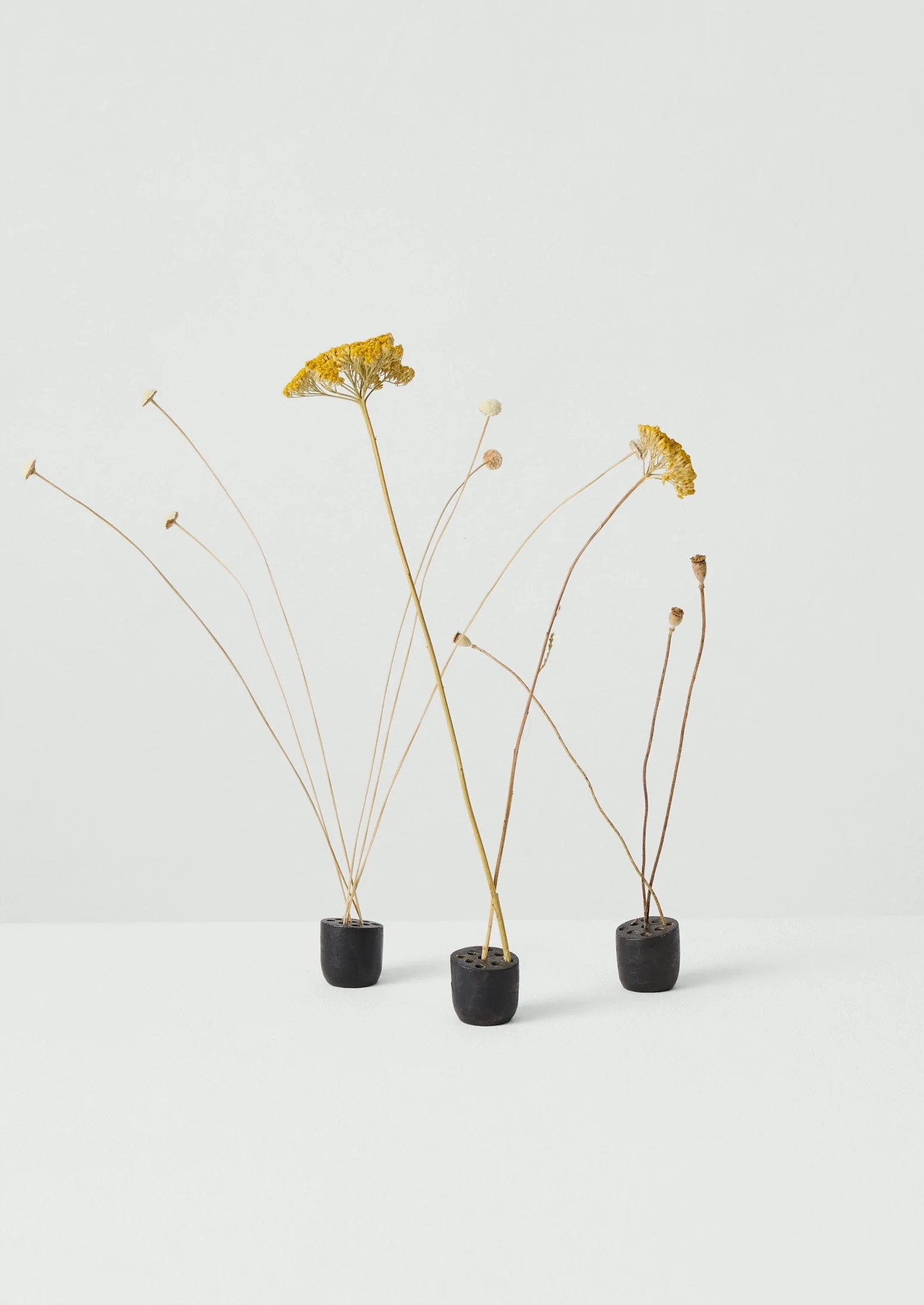 Metal Flower Frog | Iron - Image 4