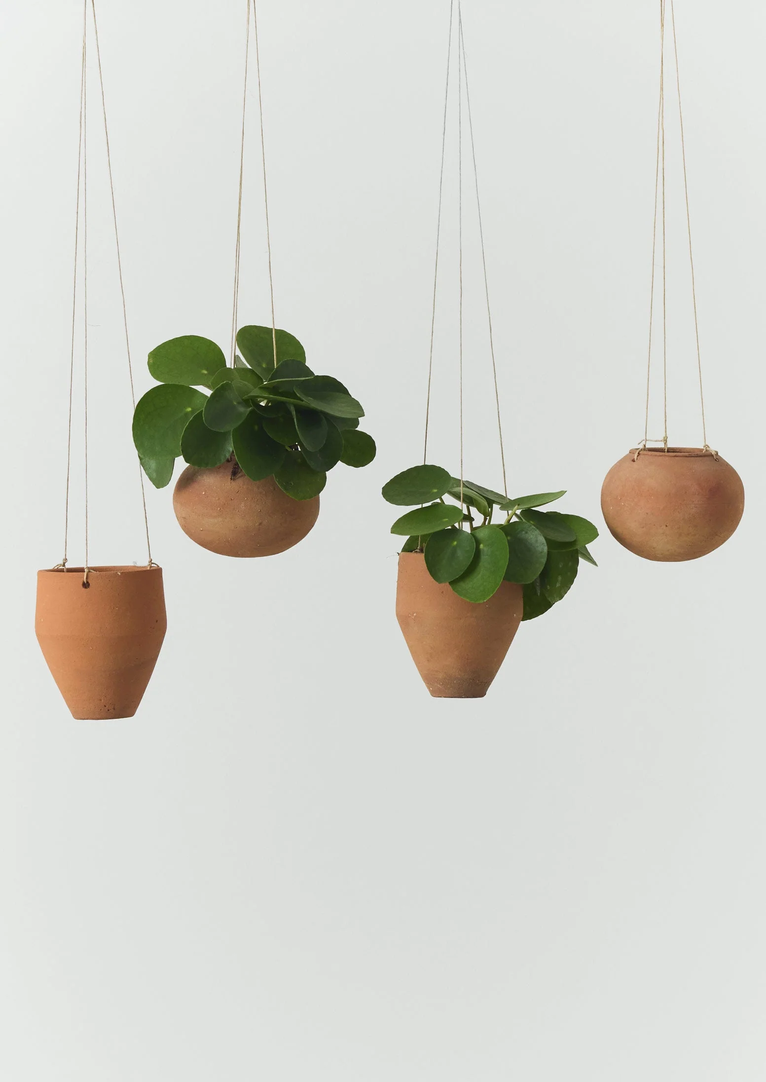 Soller Terracotta Hanging Planter Set | Terracotta - Image 3